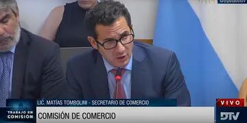 El secretario de Comercio, Matías Tombolini, expuso en Diputados