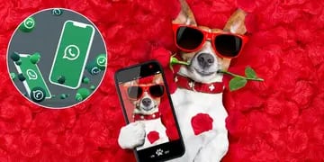 Envia tu amor por whatsapp: descubre cómo crear stickers para San Valentín