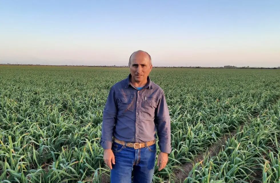 Aldo López trabaja hace más 30 años con investigaciones para el cultivo del ajo. - Gentileza