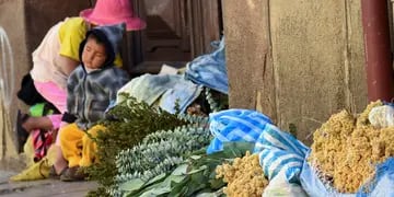 Crisis de fallecidos en Bolivia por coronavirus