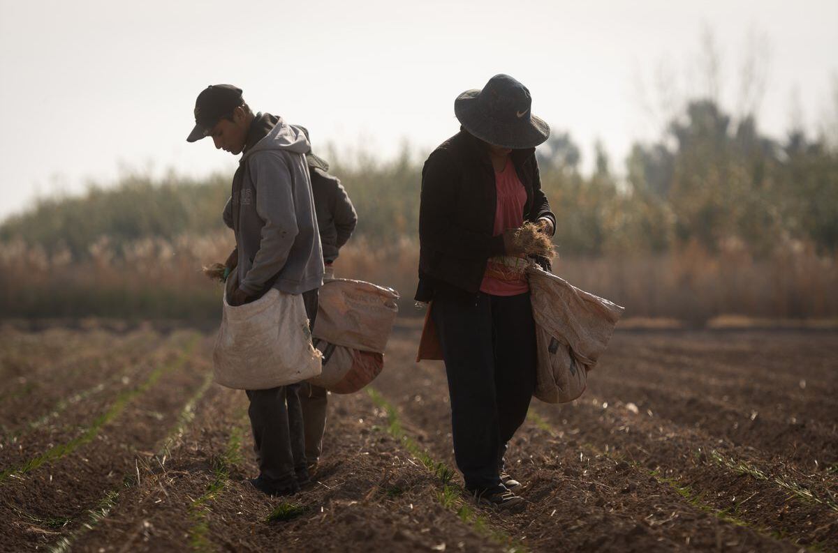 El agro es la actividad que más trabajo genera en las zonas rurales de la provincia.

Foto: Ignacio Blanco / Los Andes