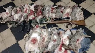 San Carlos: neutralizaron a dos cazadores con un bolso lleno de vizcachas muertas y destripadas
