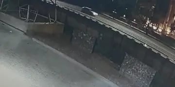 Video: así impactó la guirnalda navideña que impactó en los cables y produjo el apagón en Mendoza. Foto: Captura de video