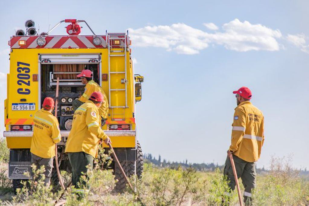 Brigadists especializados en incendios forestales serán enviados al límite de San Luis y Córdoba para ayudar con los siniestros.