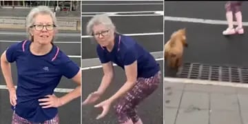 Video: una mujer llama al perro para que salga a la calle en protesta a sus dueños por pasearlo sin correa