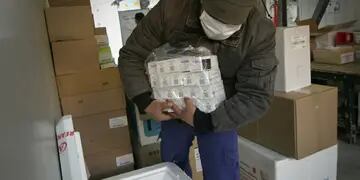 Llegaron más vacunas AstraZeneca a Mendoza