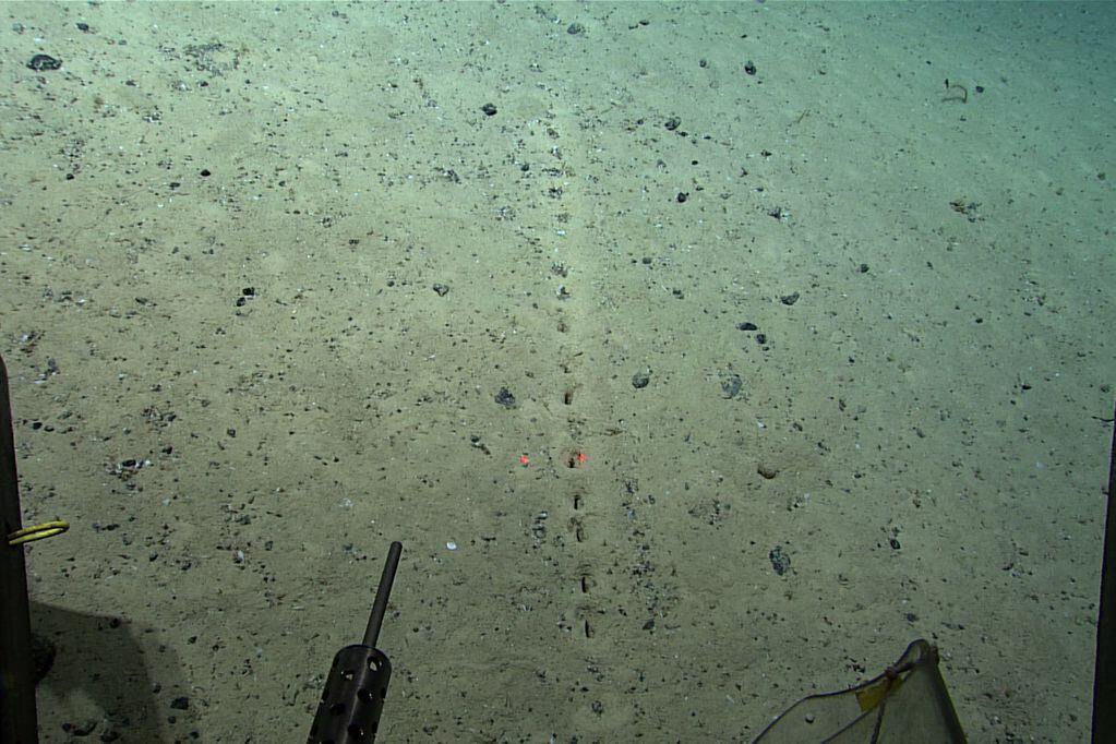 Científicos estadounidenses descubrieron unos misteriosos agujeros en el fondo del océano Atlántico.