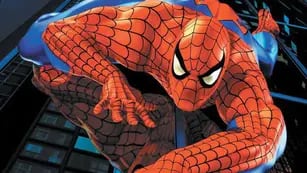 El protagonista de El Hombre Araña es Peter Parker, un joven tímido y genio de las ciencias.