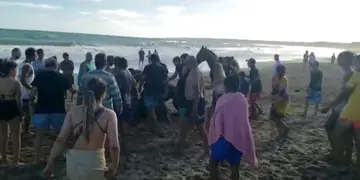 Se metió en una playa pública con un caballo