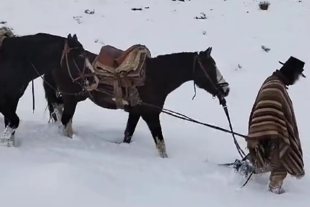 Rescataron a un baqueano que había quedado atrapado junto a su caballo en Alta Montaña