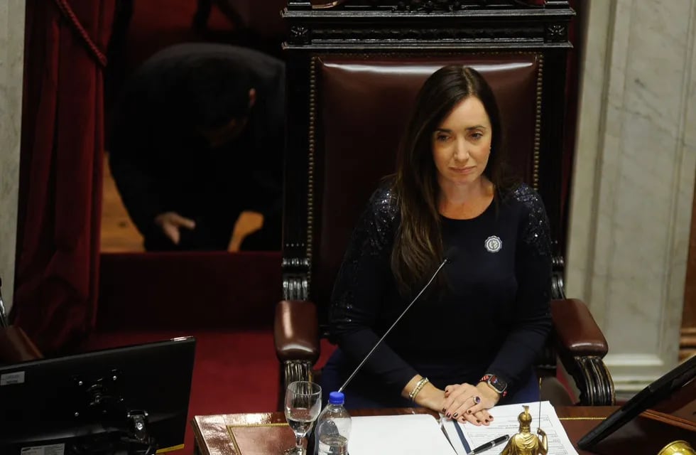 La propuesta cuenta con el apoyo de la vicepresidenta Victoria Villarruel. Federico López Claro / Clarín