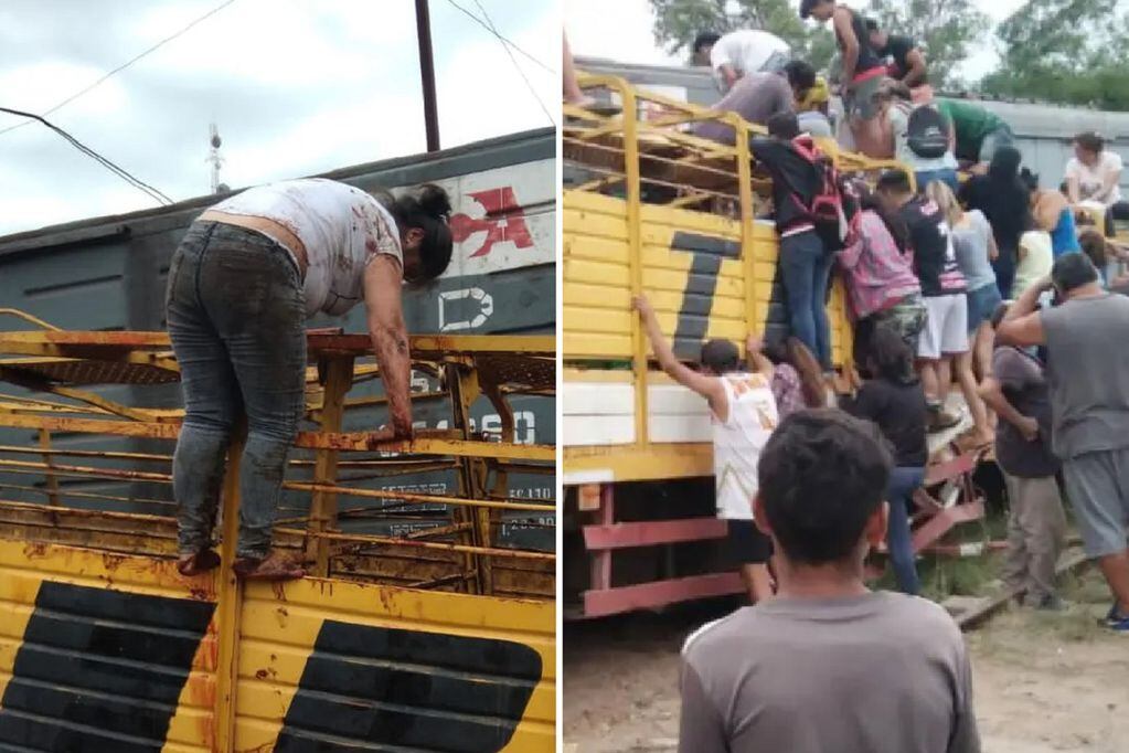 Saquearon y faenaron vacas de un camión chocado por un tren en Santiago del Estero (Gentileza)