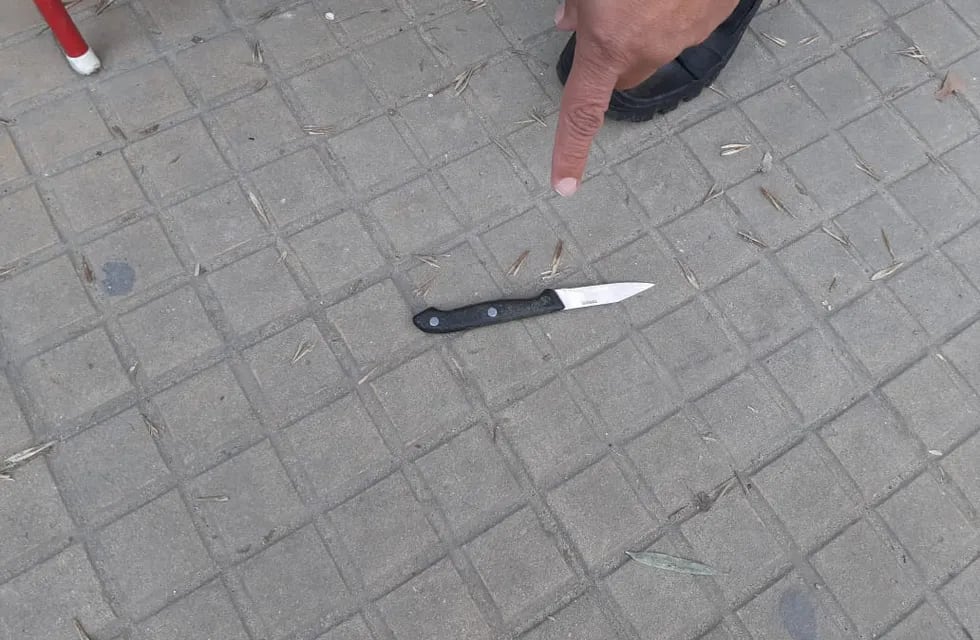 El cuchillo que portaba una mujer que esperaba a Alberto Fernández en un vacunatorio de La Plata.
