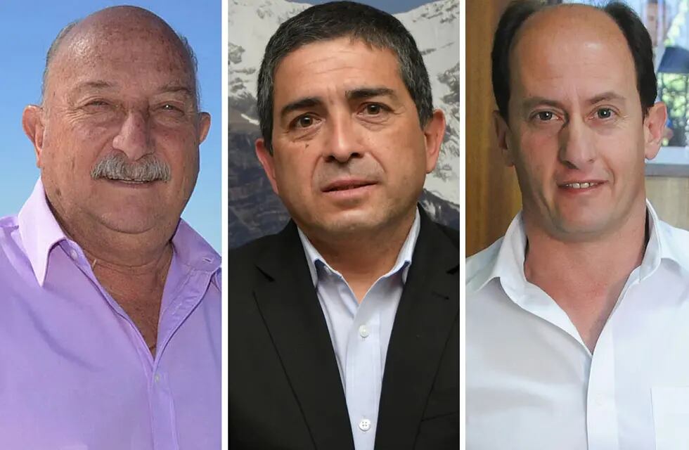 Intendentes. Ronco (Rivadavia), Marcolini (Alvear) y Soto (Tupungato) podrían tener elecciones primarias entre radicales.