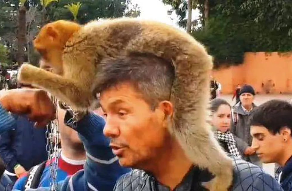 Video: Tinelli posó con un mono en su cabeza en una plaza de Marrakech