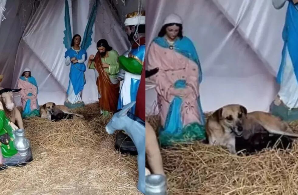 El milagroso hecho ocurrió en la representación del Nacimiento de Jesús que se instaló en la explanada del Centro de Palenque. Foto: Web
