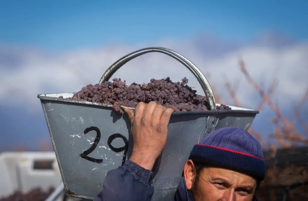 Industria vitivinícola de Mendoza. Foto: Archivo Los Andes