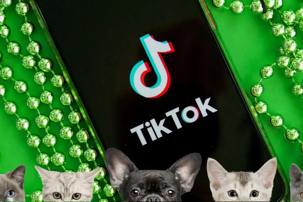 Un nuevo filtro de voz en TikTok hace que Gatos y máquinas “hablen” y se convierte en un fenómeno viral