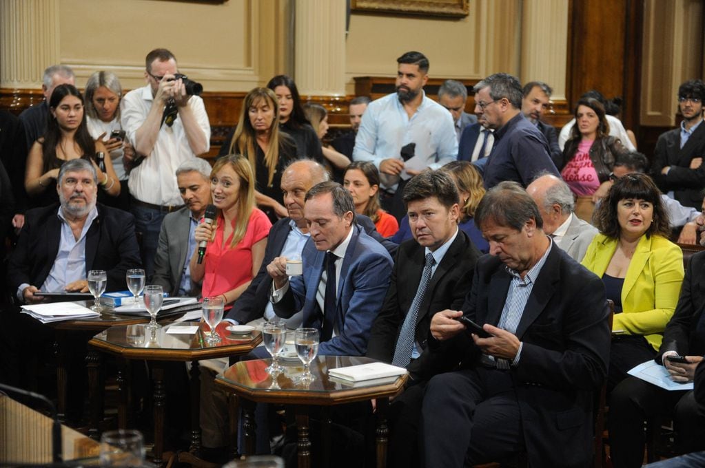 Reunión de la Comisión Bicameral de Trámite Legislativo (Foto: Federico López Claro)