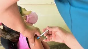 Vacunacion 