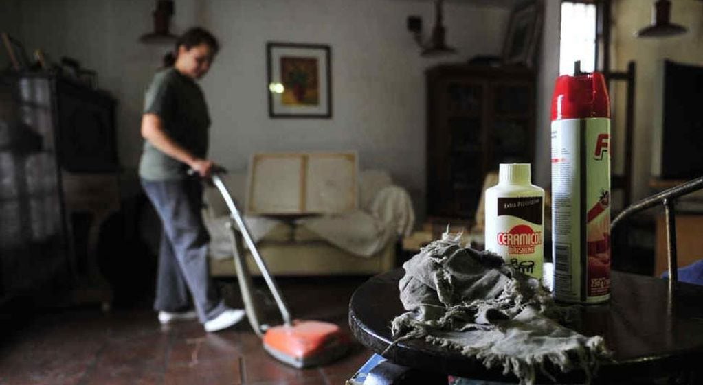 Hay cinco categorías de trabajadoras del servicio doméstico, según la tarea que realicen.