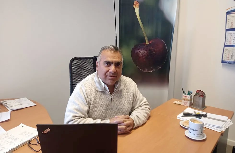 Para Diego Aguilar, presidente de la Cámara de Cerezas de Mendoza, el sector local debe apuntar a una fruta de primicia. Imagen: gentileza.