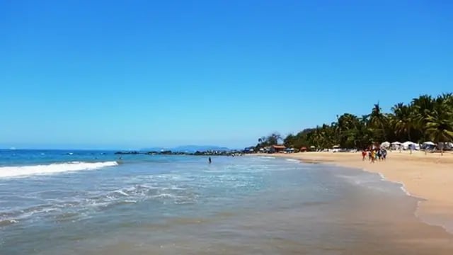 Doble ataque de tiburón en una playa de México: un turista murió desangrado y una mujer permanece internada