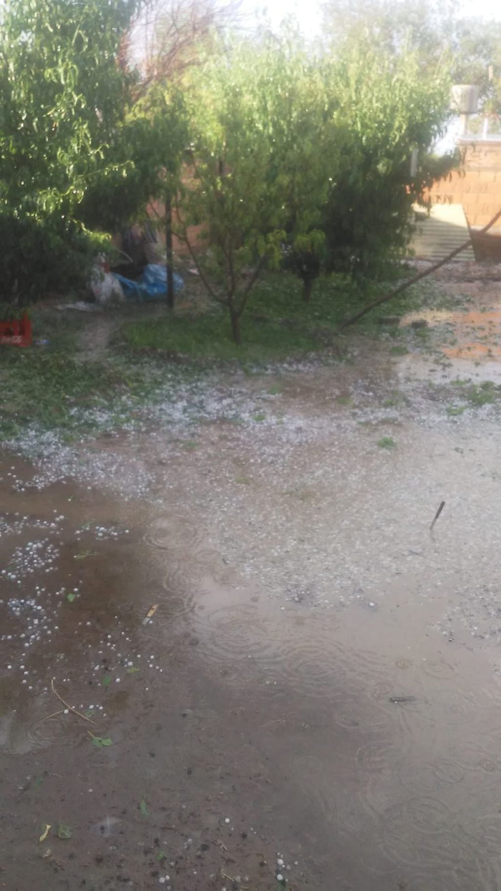 Una fuerte tormenta de granizo afectó varios distritos de Rivadavia. Foto gentileza Amanecer Rivadavia.