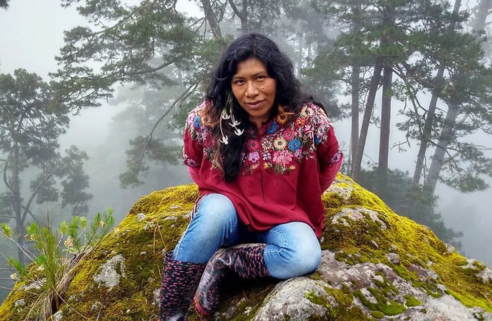 Apareció con vida la ambientalista desaparecida que defendía los bosques de Oaxaca