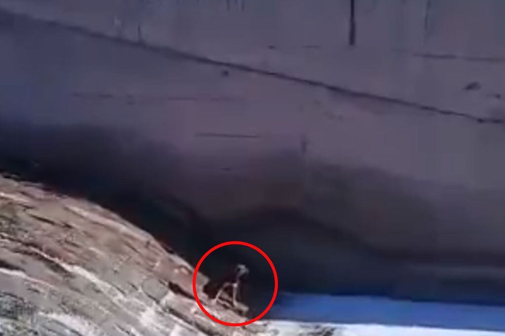 Video: un vendedor ambulante rescató a un perro que cayó al canal Cacique Guaymallén