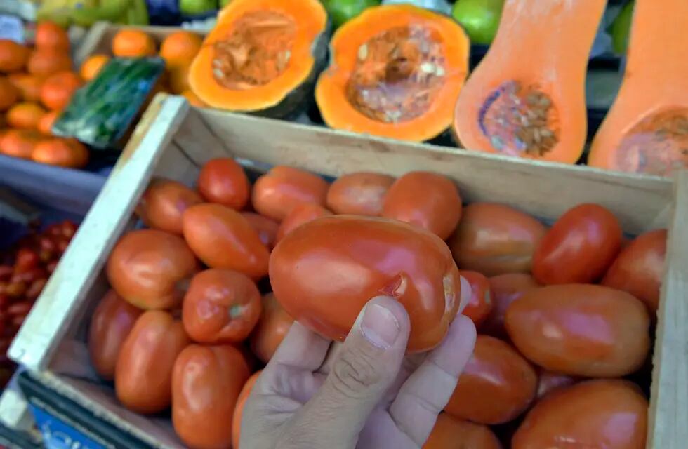 Por los precios de frutas y verduras, se alienta a los consumidores a acceder a productos locales. 
Foto: Orlando Pelichotti / Los Andes