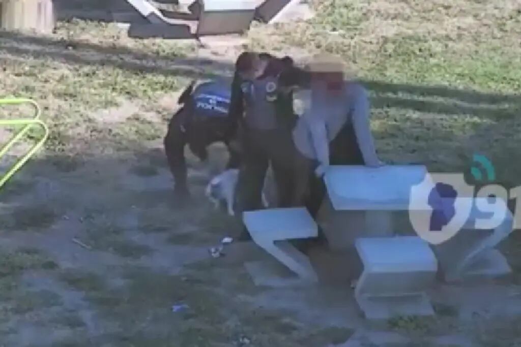 Córdoba: se robó un bulldog francés de la casa de un vecino y lo detuvieron (VIDEO)