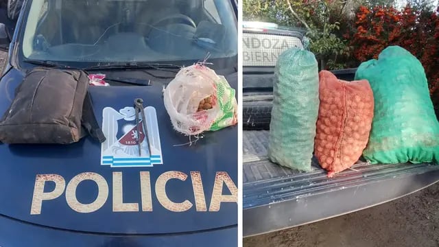 Recuperaron más de 200 kilos de nueces robadas y detuvieron a seis sospechosos en Tupungato