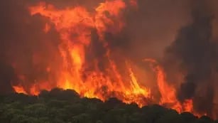 Incendio forestal en España.