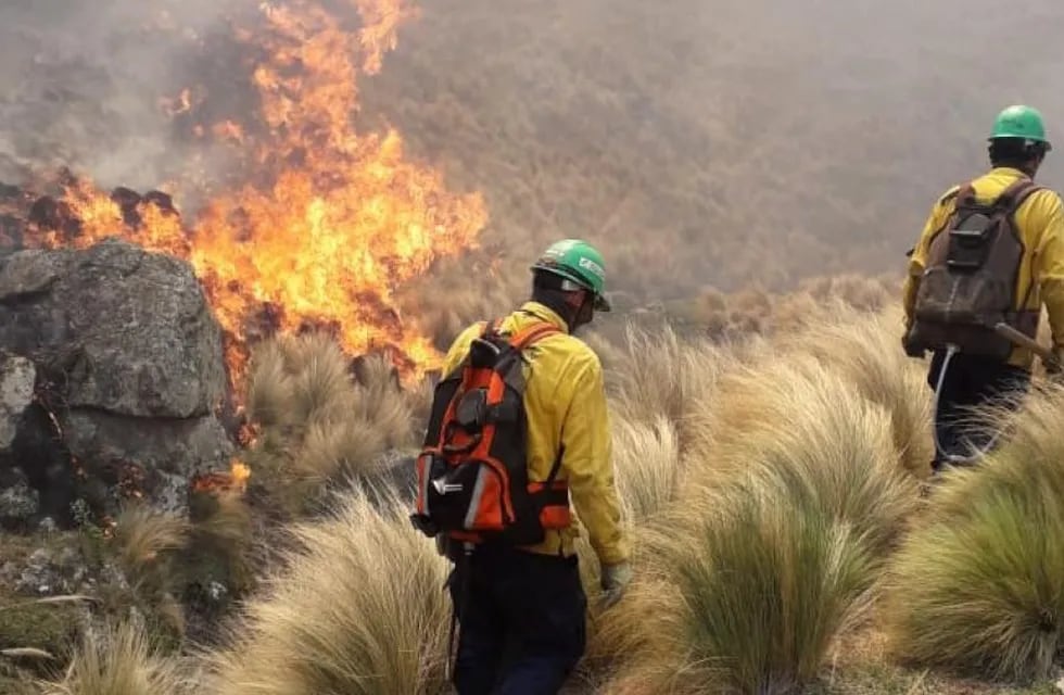 Bomberos trabajan nuevamente en Cóórdoba para apagar los incendios - Gentileza / La Voz