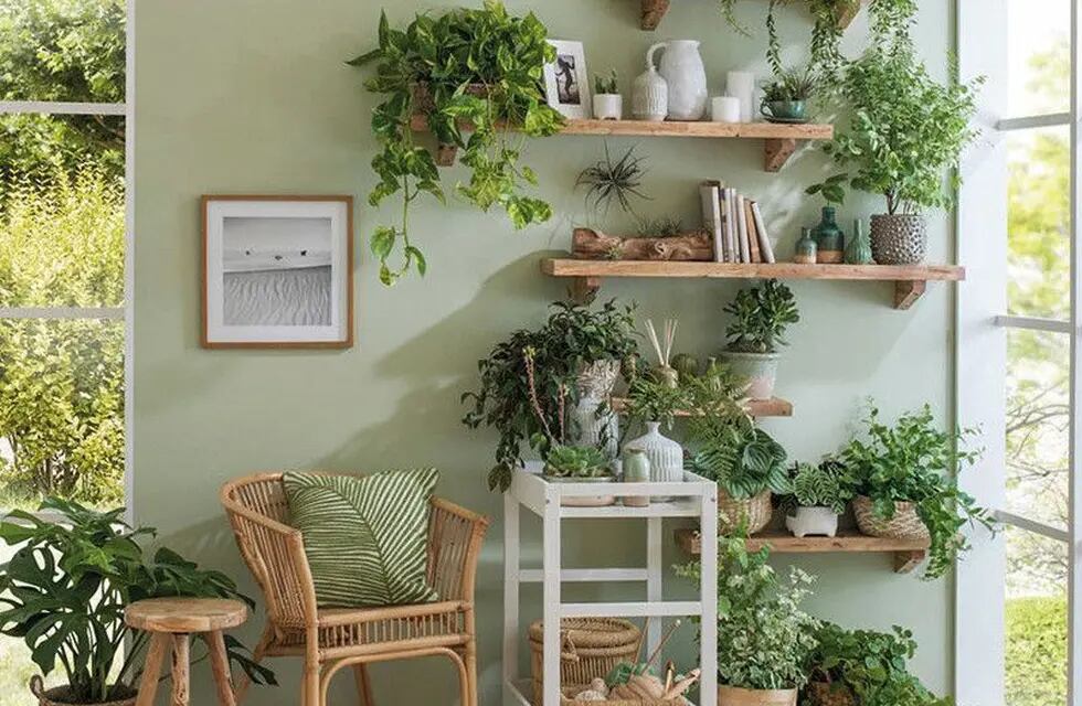 Plantas: cómo incorporarlas a la decoración de tu hogar para refrescar los ambientes este verano.