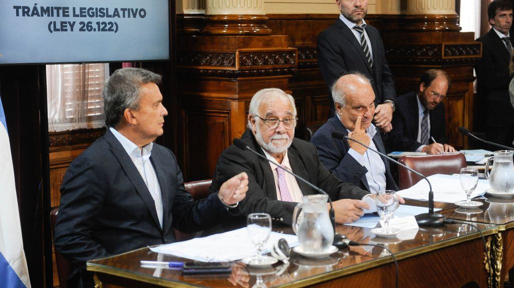 El senador Juan Carlos Pagotto (centro), presidente de la Comisión Bicameral de Trámite Legislativo (Foto: Federico López Claro)