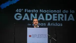 Andrés Vavrik presidente cámara de Alvear