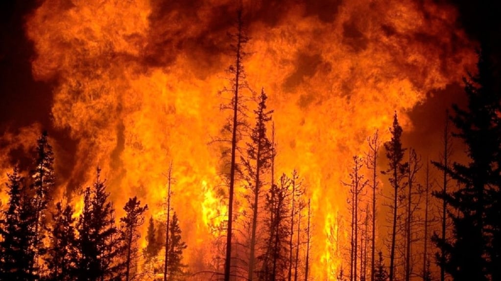 Las llamas ya han abarcado más de 40 mil hectáreas en Chile. - Gentileza Radio Universidad de Chile