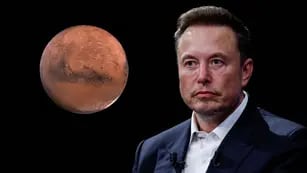 Una científica de la NASA afirmó que “Elon Musk morirá en el viaje a Marte”