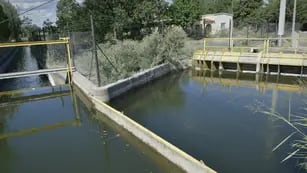 Tres jóvenes murieron ahogados en un canal de San Martín