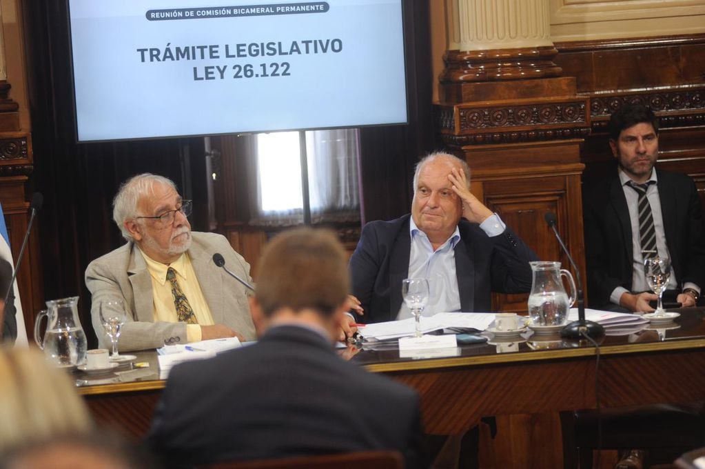 Lombardi encabezó la nota para pedir el tratamiento de más de un centenar de decretos pendientes (Foto: Federico López Claro)