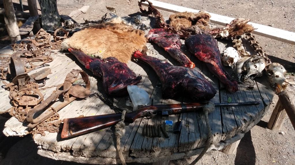 Detuvieron a dos personas en un operativo para combatir la caza furtiva en Las Heras. Les encontraron más de 40 kilos de carne de guanaco y otros restos de especies protegidas que habían sido cazadas.