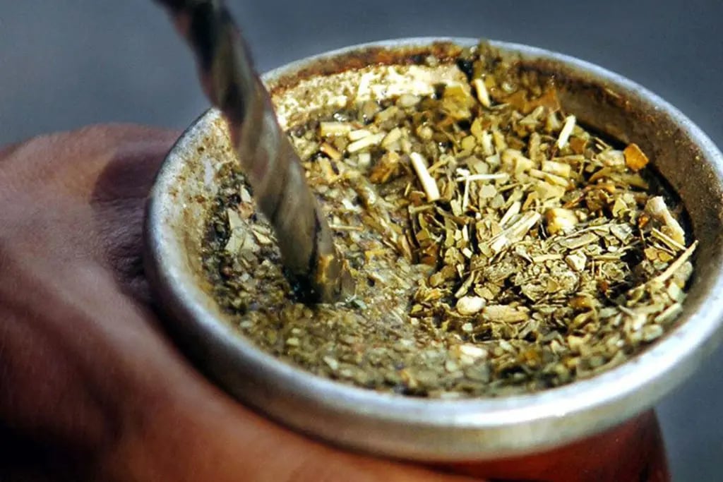Se forma la Federación Internacional Sudamericana de Productores de Yerba Mate para proteger y promover el “oro verde”