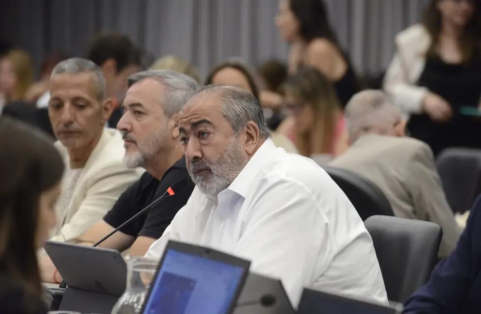 Héctor Daer, secretario general de la CGT, en la Cámara de Diputados (Foto: HCDN)