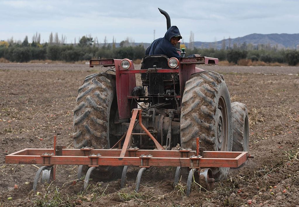El sector del agro es uno de los que tienen remuneraciones más bajas. Foto: Orlando Pelichotti / Los Andes