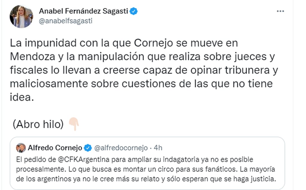 La senadora nacional Anabel Fernández Sagasti se cruzó con Alfredo Cornejo por el juicio que enfrenta la Vicepresidenta.
