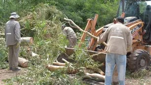 Daños y trabajos en Lavalle tras la fuerte tormenta de granizo