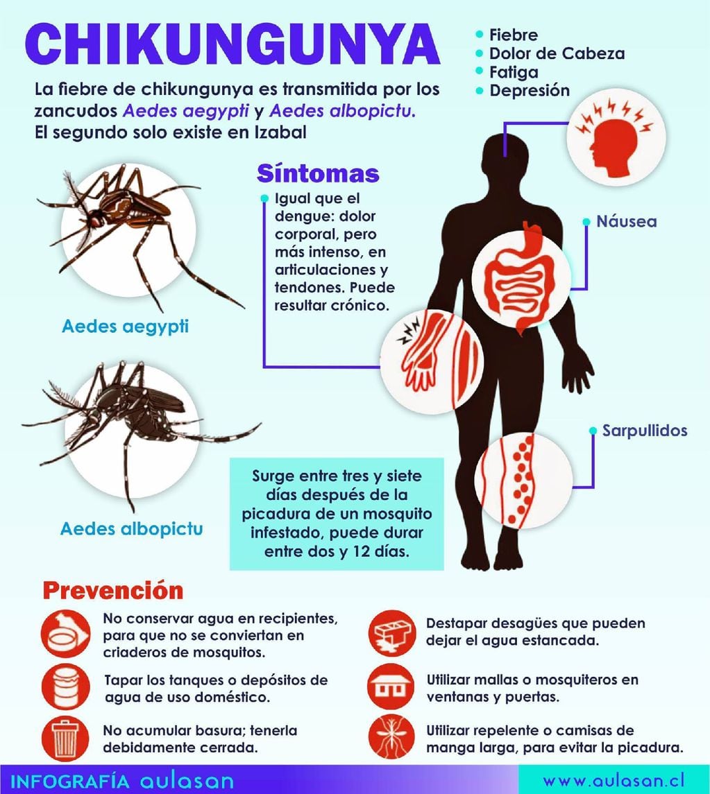 Virus chikungunya.