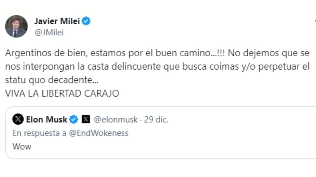 “Wow”, la reacción de Elon Musk a las medidas implementadas por Javier Milei.
